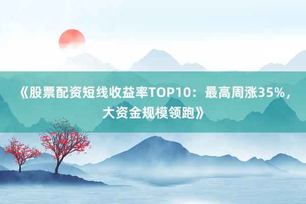 《股票配资短线收益率TOP10：最高周涨35%，大资金规模领跑》