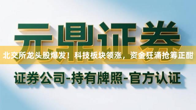 北交所龙头股爆发！科技板块领涨，资金狂涌抢筹正酣