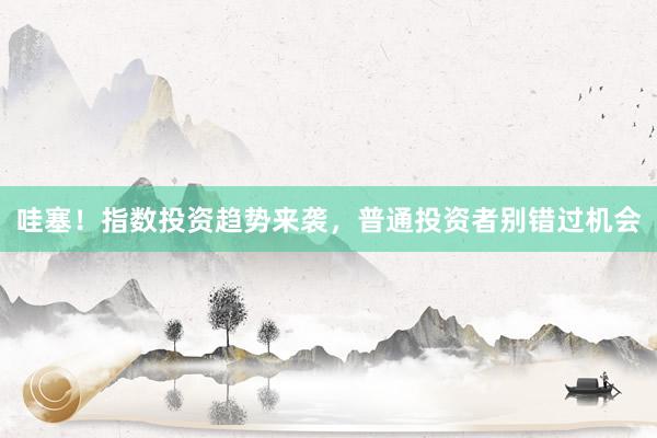 哇塞！指数投资趋势来袭，普通投资者别错过机会