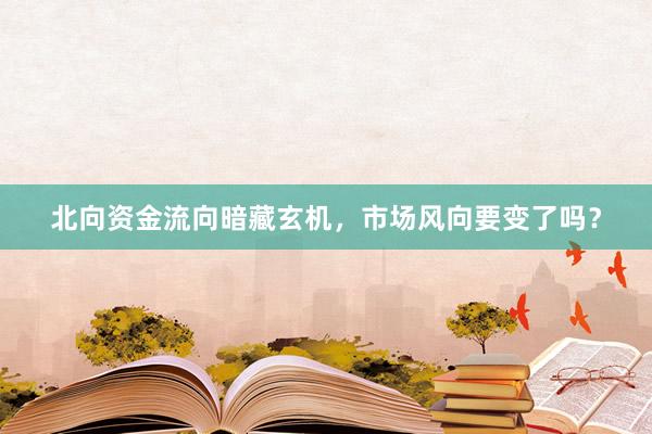 北向资金流向暗藏玄机，市场风向要变了吗？